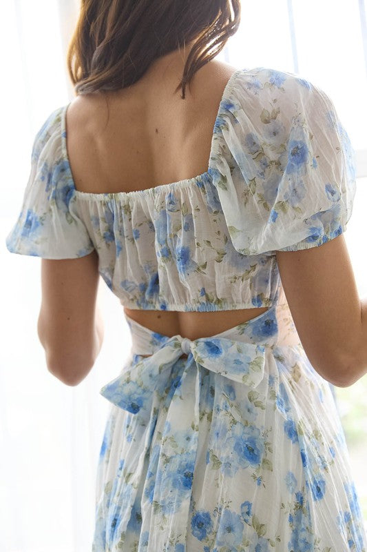 Petals & Pop Dress