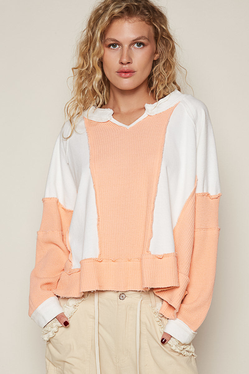 Honey & Hemlock Sweatshirt