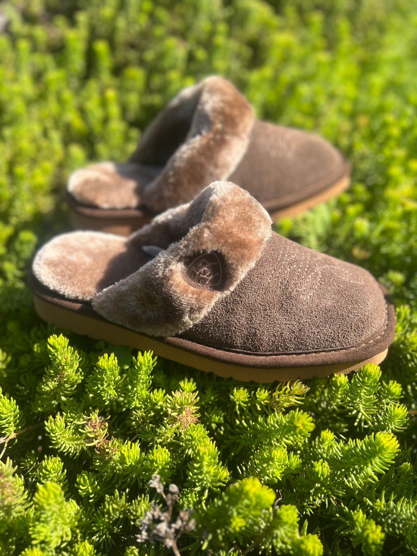 Ariat Jackie Slippers (Cho-4- Che-6)